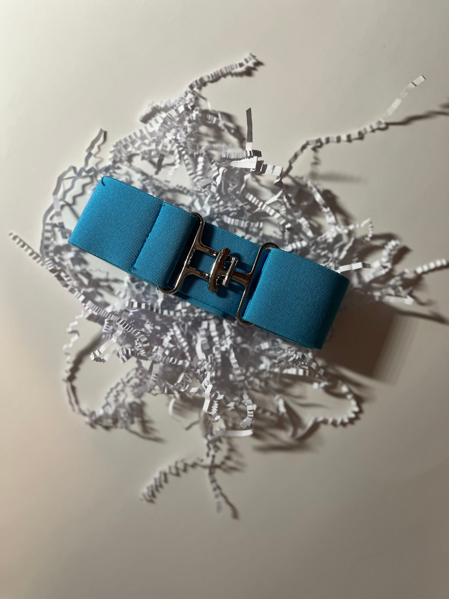 Baby Blue Equestrian Belt