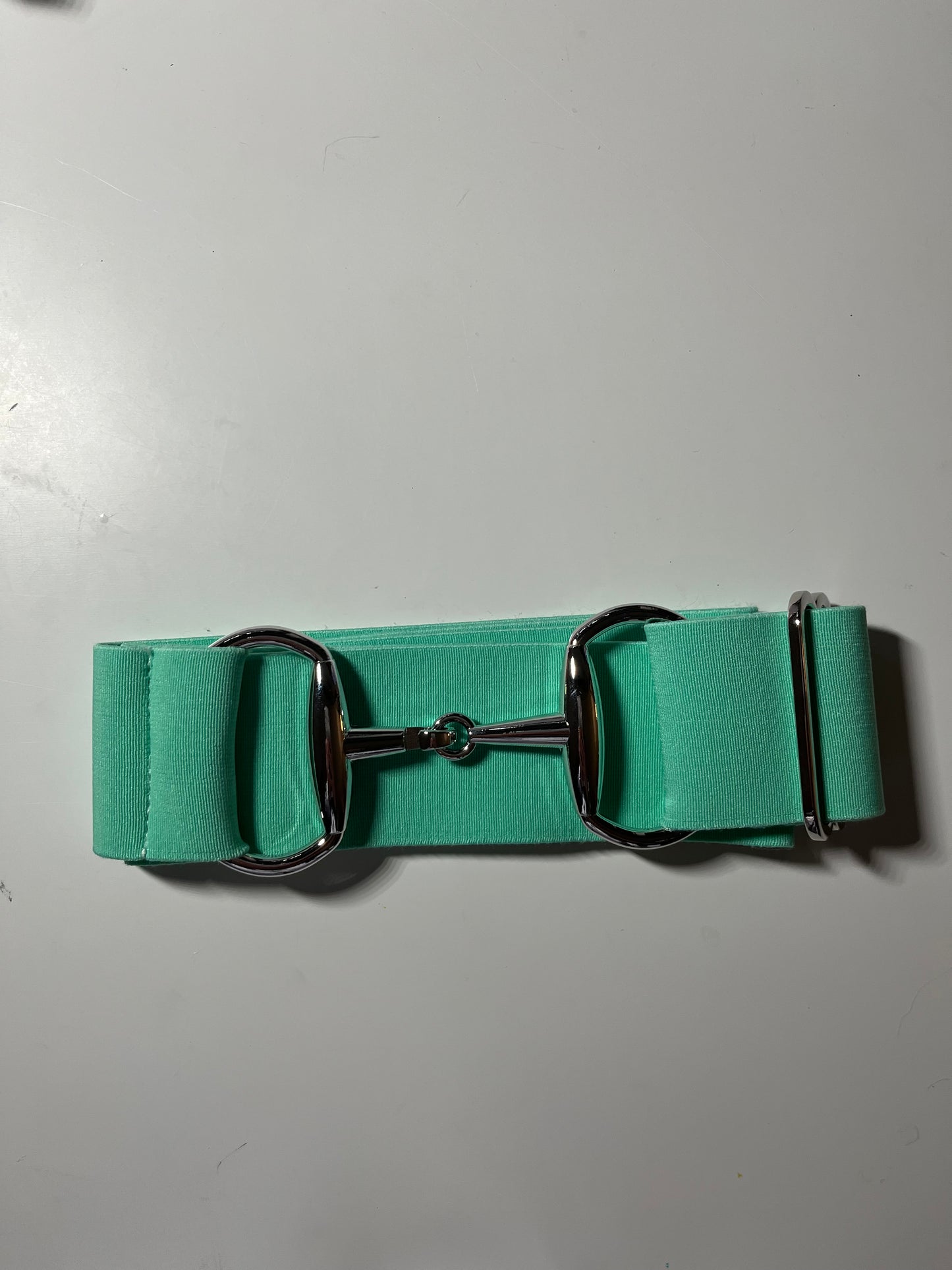 Finding Nemo Equestrian Belt