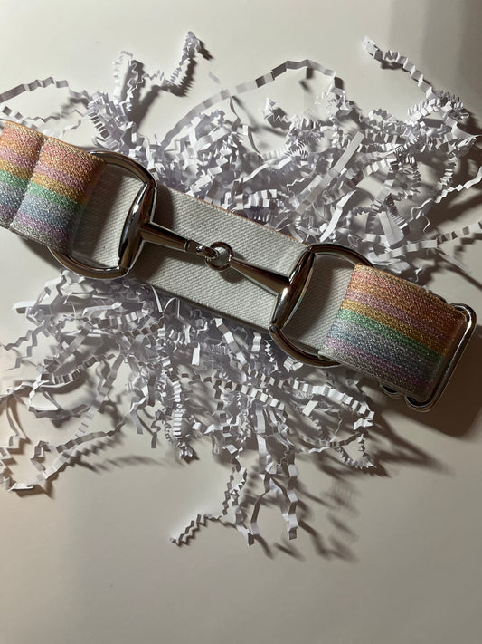Rainbow Road Equestrian Belt
